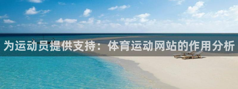 919体育直播官网