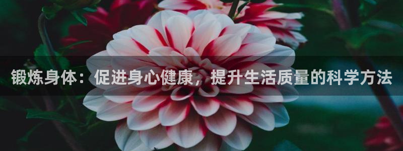 919体育场：锻炼身体：促进身心健康，提升生活质量的科学方法