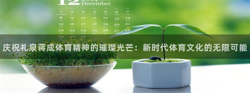 919体育直播APP版本更新内容：庆祝礼泉蒋成体育精神的璀璨光芒：新时代体育文化的无限可能