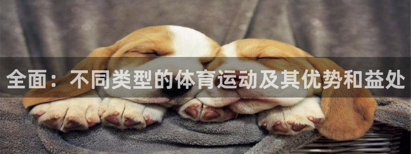 919体育直播间：全面：不同类型的体育运动及其优势和益处