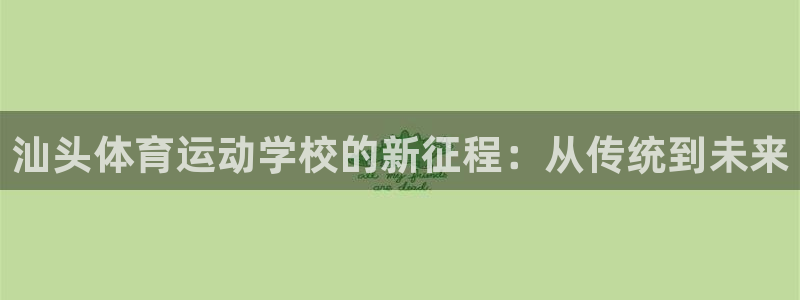 919体育在线直播官网