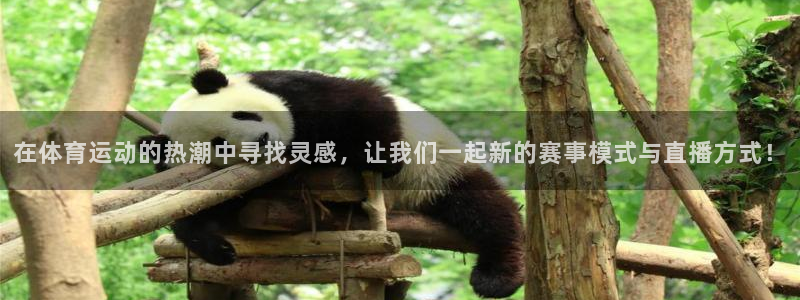 赢点体育直播919体育直播