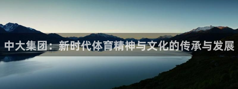 919体育直播APP安卓版