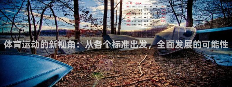 919体育场：体育运动的新视角：从各个标准出发，全面发展的可能性