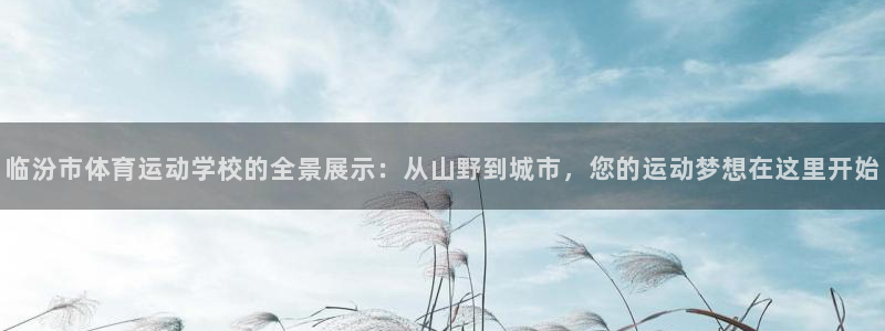 赢点体育直播919体育直播