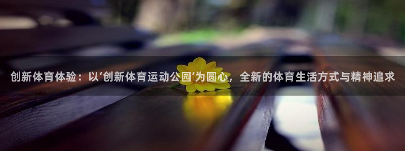 919体育直播APP版本更新内容