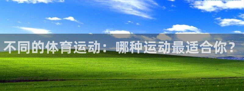 919体育直播平台亚洲杯