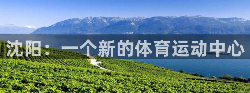 919体育赛事直播在线观看