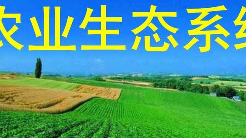 绿色食品证书办理，农业转型新起点