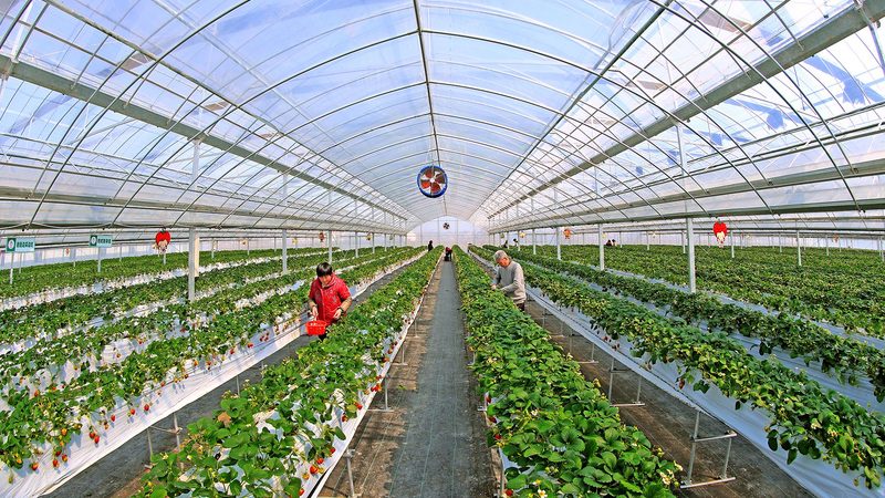 休闲农业园区设计报价，为什么总比预期高出一截