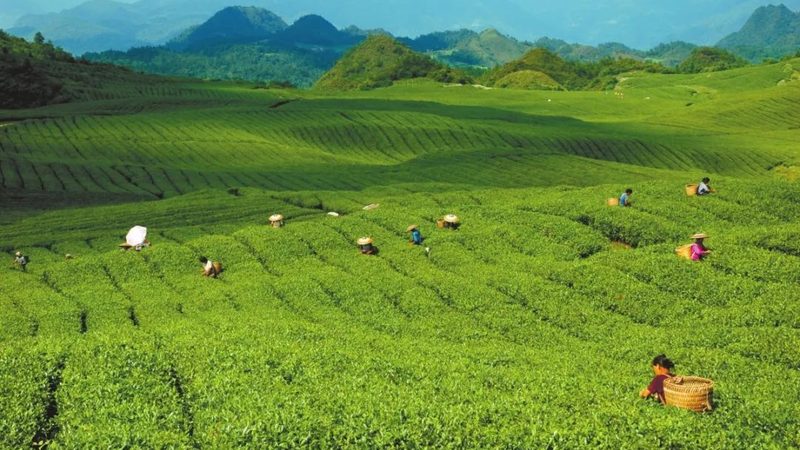 农业种植机械：价格之外，你还需要了解这些