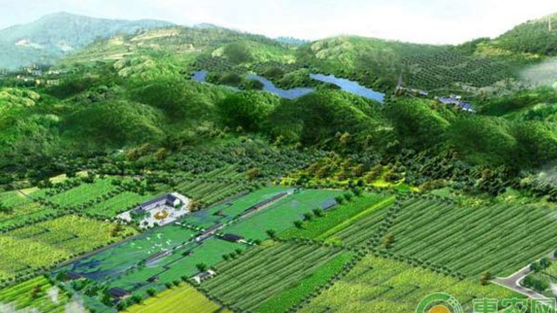 南方水果种植基地：新手创业的沃土选择**