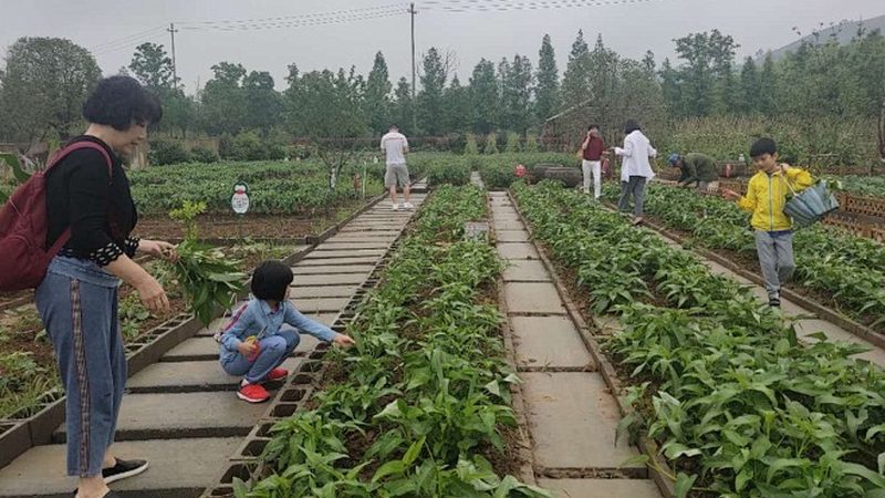 上海周边休闲农业基地，儿童体验活动新趋势