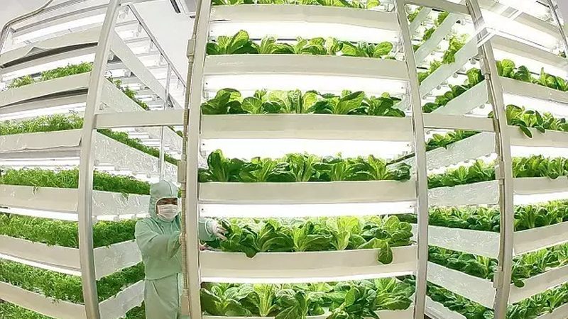 陕西农业科技有限公司