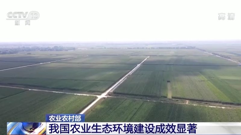 大棚水果种植成本构成解析