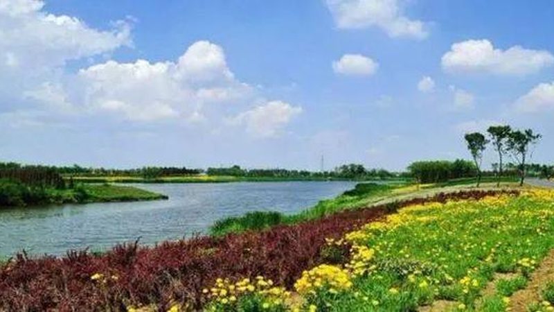 智慧农业种植系统：引领未来农业发展的十大品牌解析