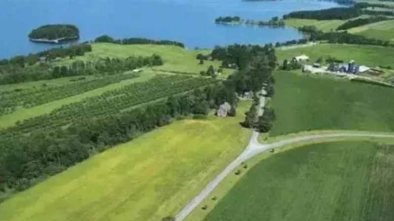 从“连栋大棚”到“植物工厂”，温室工程到底在升级什么