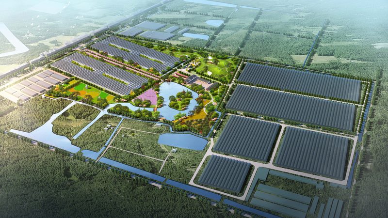 农批市场供应链管理规范：构建高效流通体系的基石**