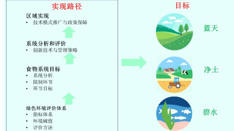 云南现代农业种植技术培训：从田间到课堂的转型之路