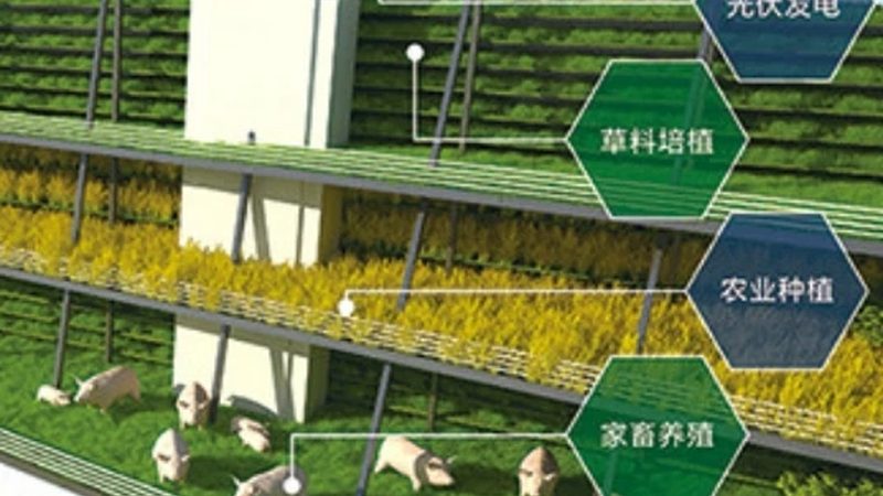 山东农资网上报价查询