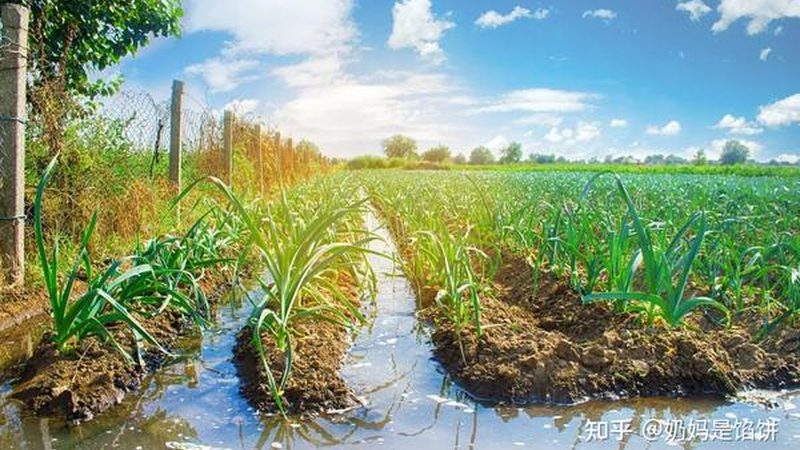 以下是一家在智慧农业领域具有代表性的公司案例：