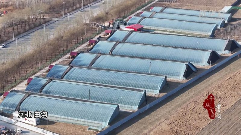 绿色食品认证申报材料：关键要素与申报流程