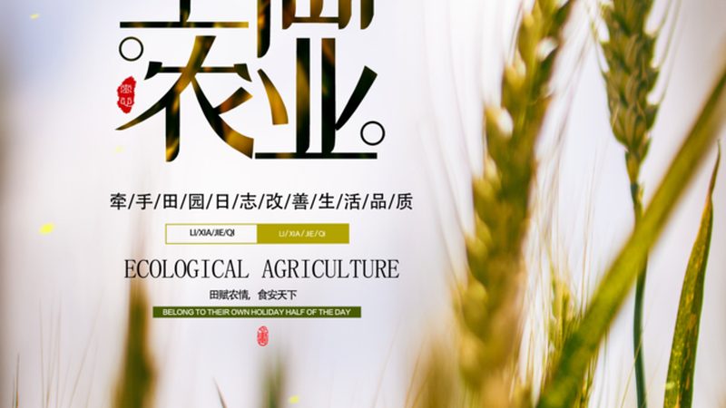 农民合作社推荐排名